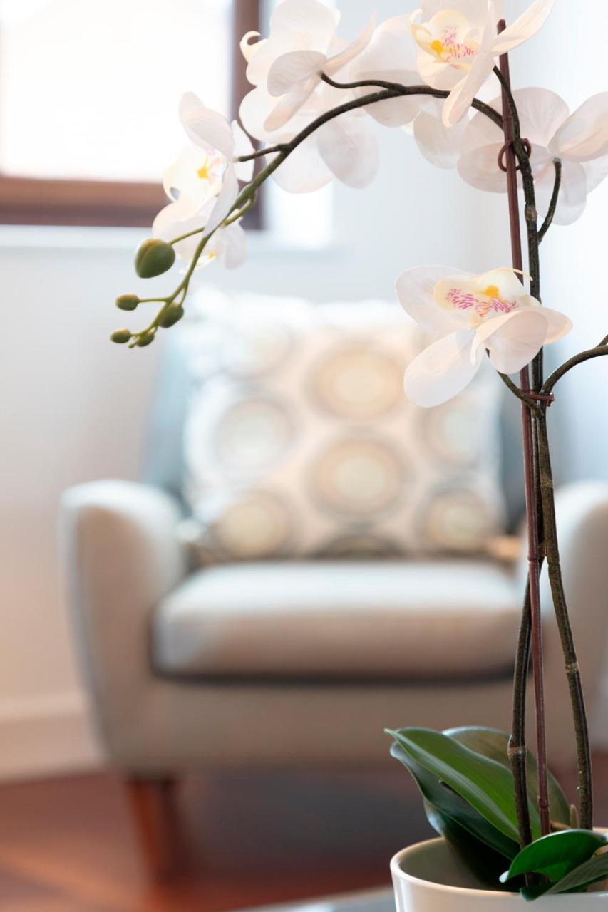 Hampden Apartments - The Henry Windsor Esterno foto
